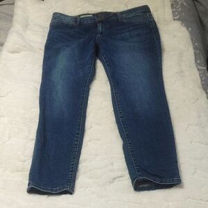 Kut From The Kloth Blue Ankle Cropped Toothpick Skinny Jeans 10P